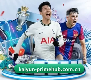 我们在做什么(KAIYUN)