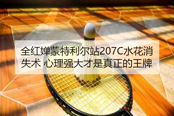 全红婵蒙特利尔站207C水花消失术 心理强大才是真正的王牌